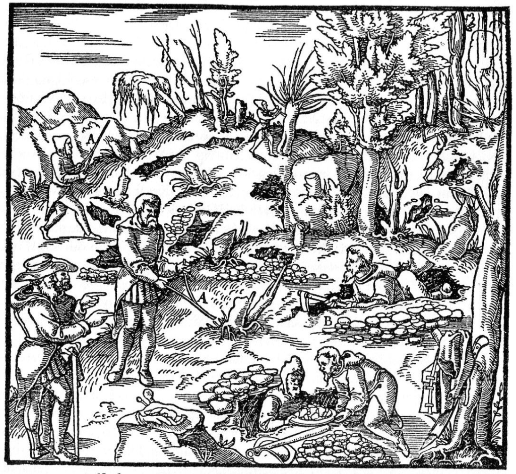 Modern Dowsing: Pseudoscience, Persistence and the Human Need for Answers